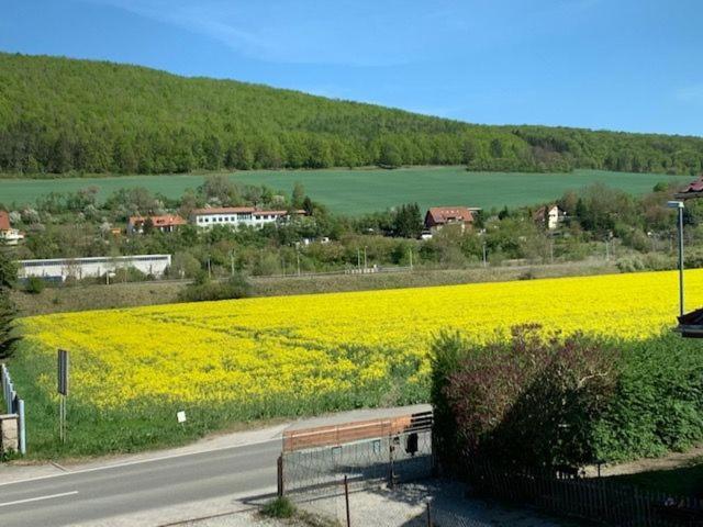 Ferienwohnung Werratal Obermassfeld-Grimmenthal Exteriör bild